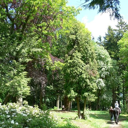 Parkhotel Smrzovka Exterior photo